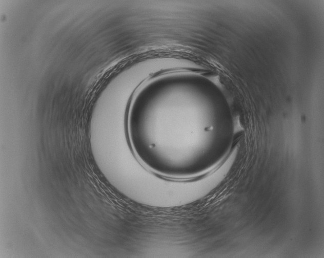 X0000052990822200507291614