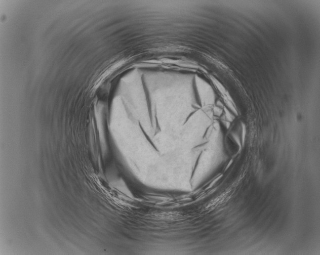 X0000052990833200507291615