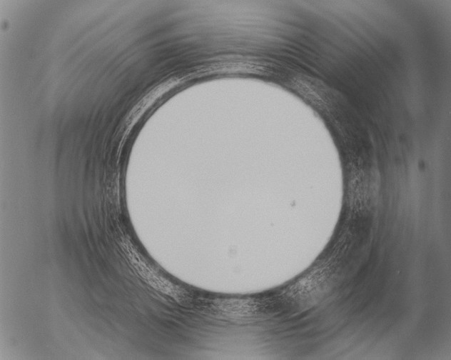 X0000052990836200507291615