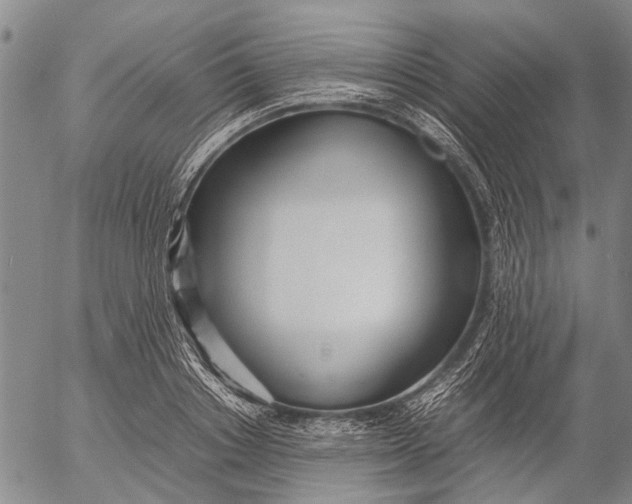 X0000052990842200507291615