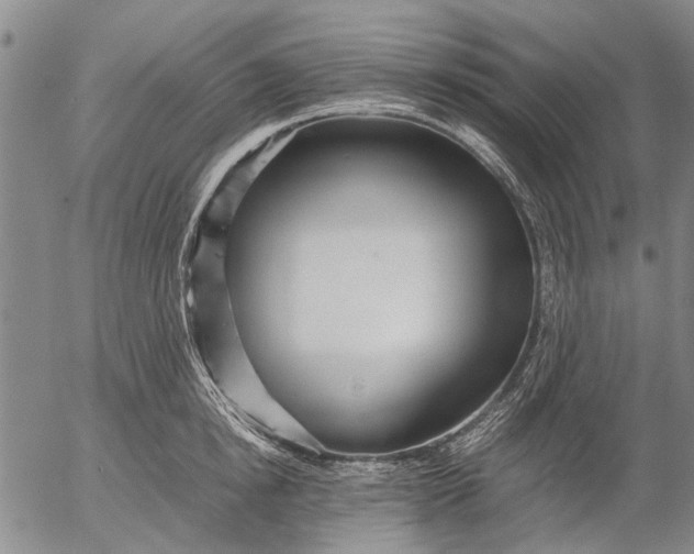 X0000052990854200507291615