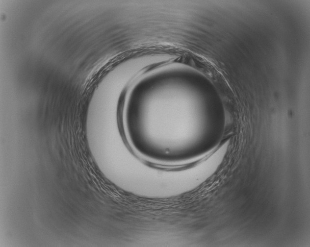 X0000052990871200507291614