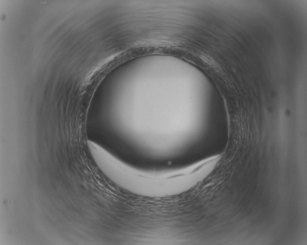 X0000052990872200507291614