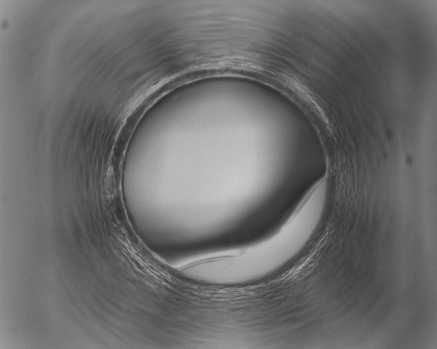 X0000052990876200507291614