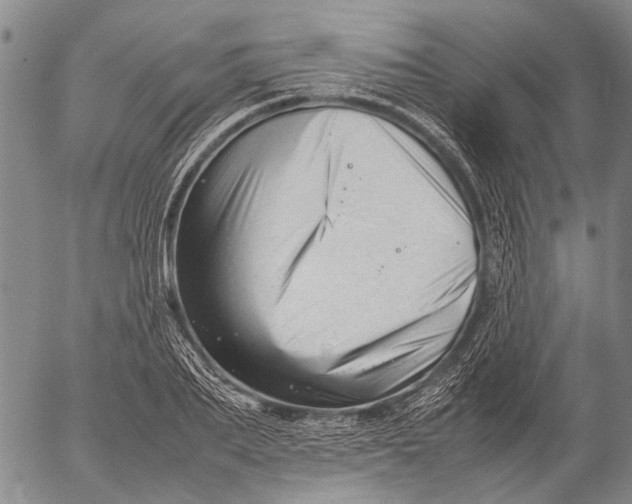 X0000052990887200507291614