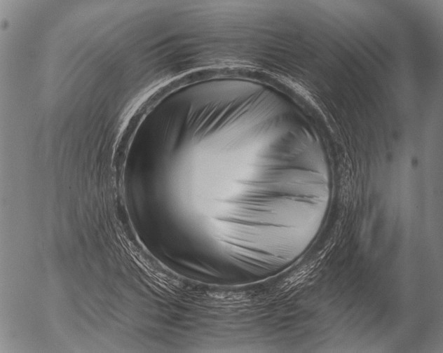 X0000052990927200507291613