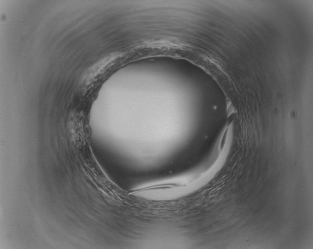 X0000052990968200507291613