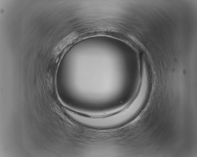 X0000052990969200507291613