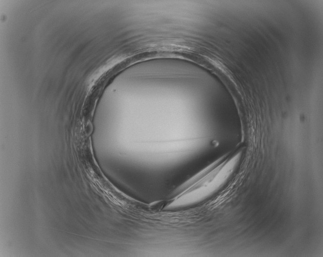 X0000052990971200507291613