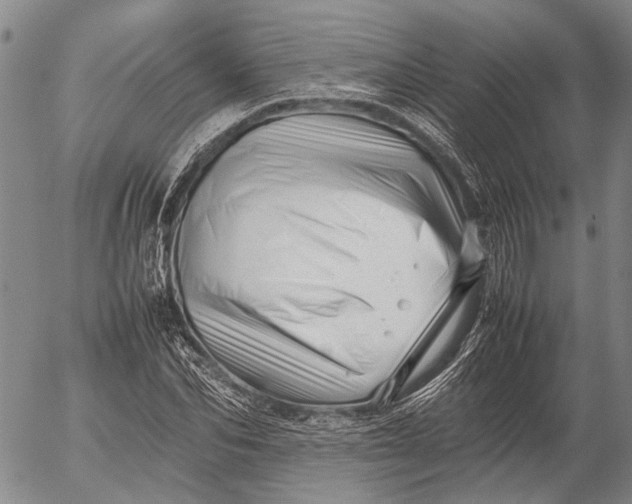 X0000052990974200507291613