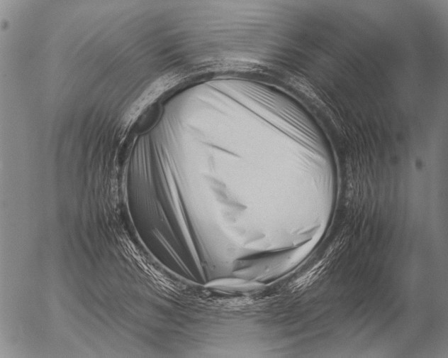 X0000052990978200507291612