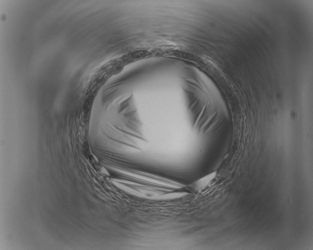 X0000052991063200507291611