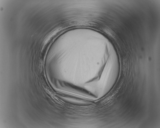 X0000052991067200507291611