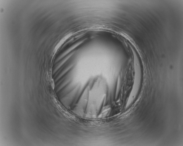 X0000052991097200507291610