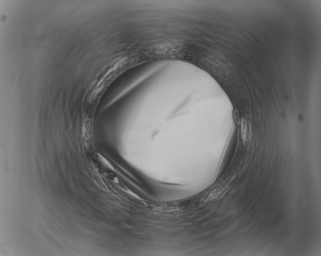 X0000052991107200507291610