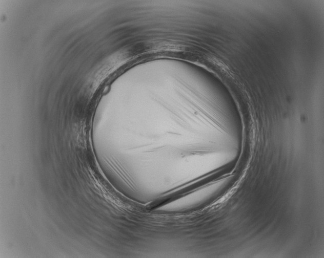 X0000052991113200507291610