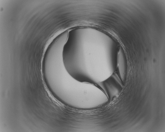 X0000052991128200507291610