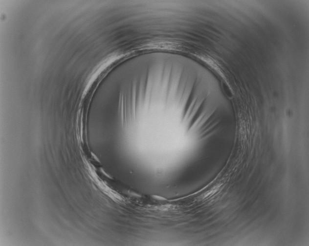 X0000052991131200507291610