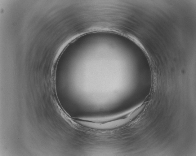X0000052991148200507291610