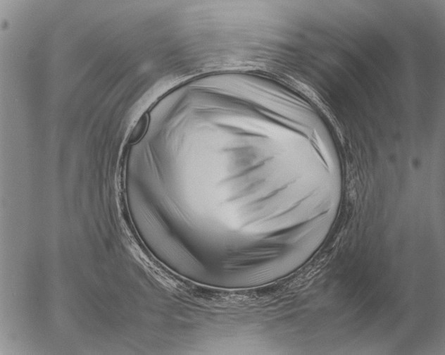 X0000052991187200507291609