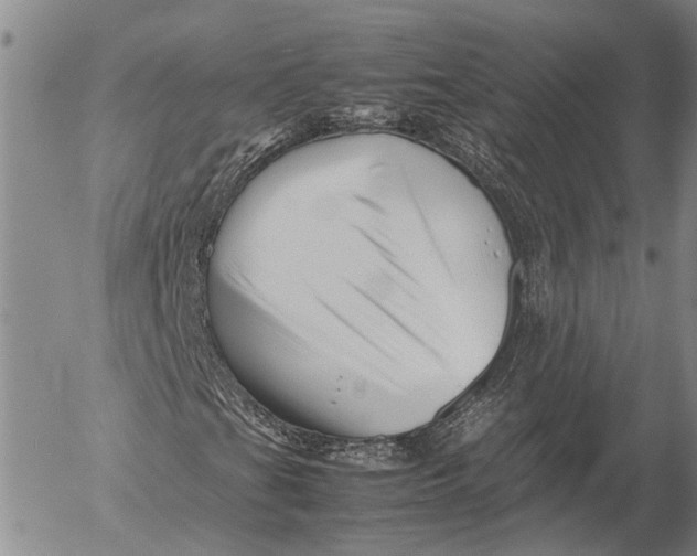 X0000052991201200507291608