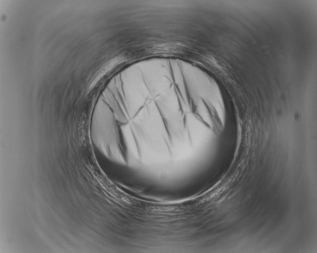 X0000052991211200507291608