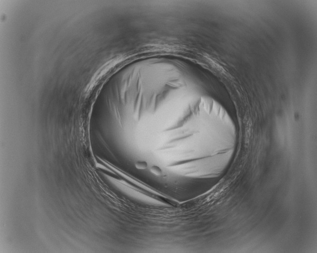 X0000052991215200507291608