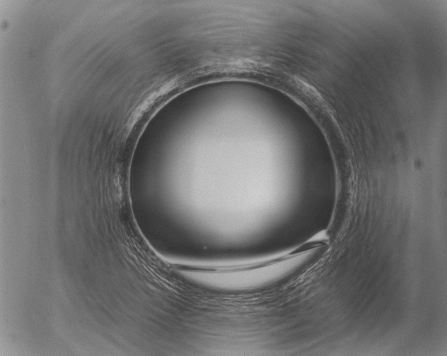 X0000052991218200507291608
