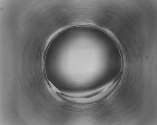 X0000052991246200507291609
