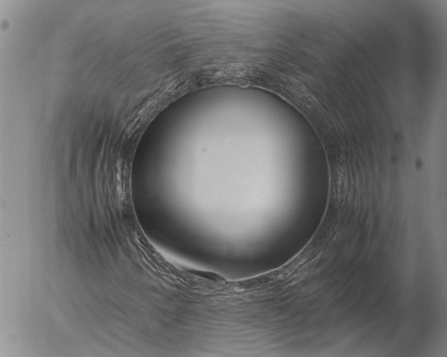 X0000052991250200507291608