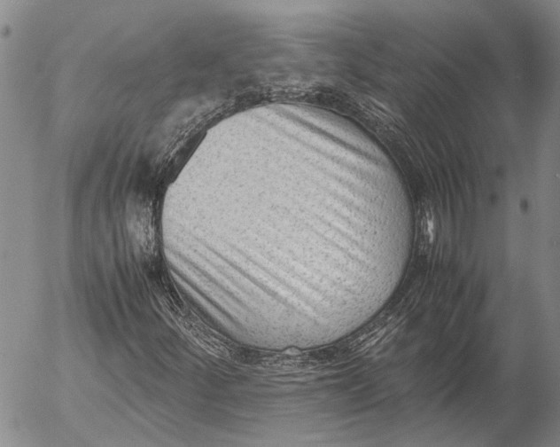 X0000052991252200507291608