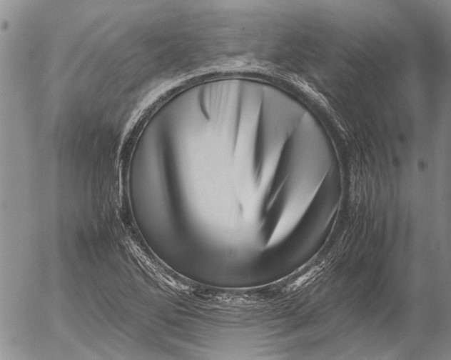 X0000052991270200507291608