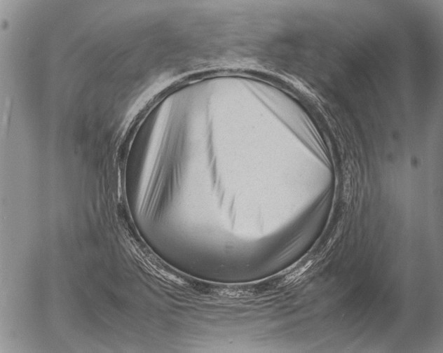 X0000052991271200507291608