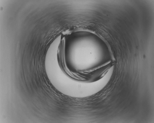 X0000052991298200507291606