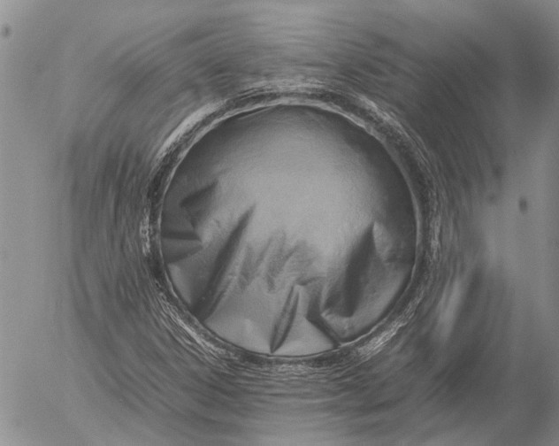 X0000052991306200507291607