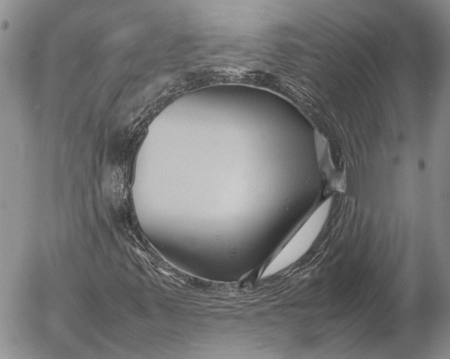 X0000052991347200507291606