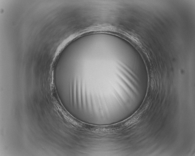 X0000052991366200507291606