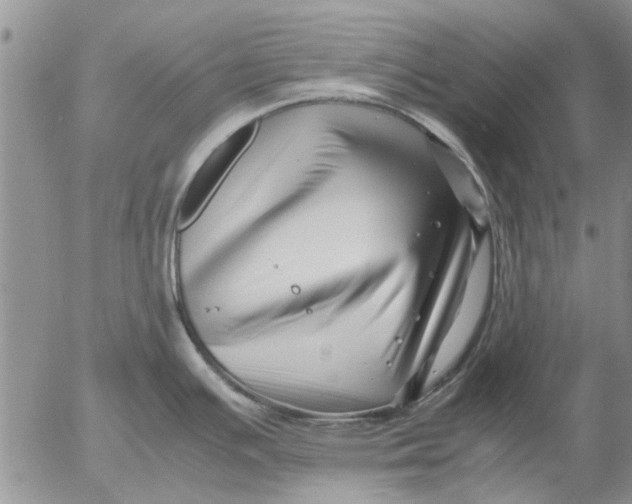 X0000052991391200507291606