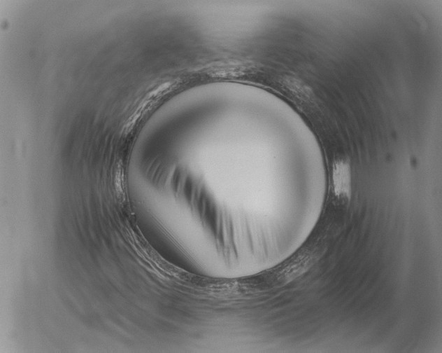 X0000052991444200507291605