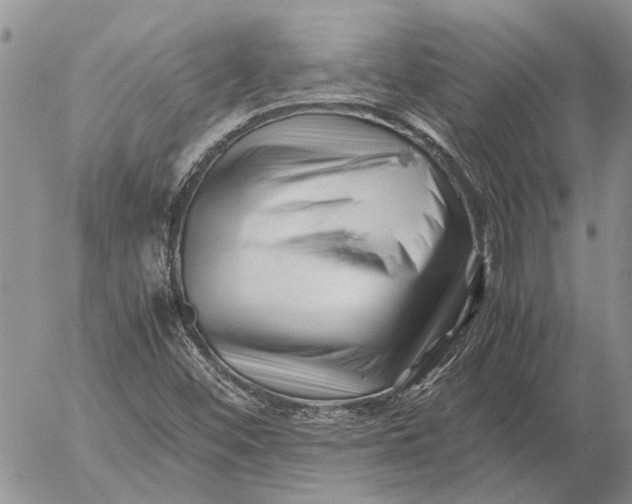 X0000052991452200507291605