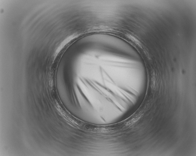 X0000052991458200507291605