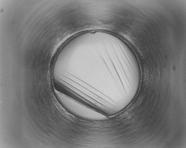X0000052991460200507291605