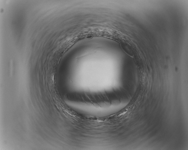 X0000052991489200507291603
