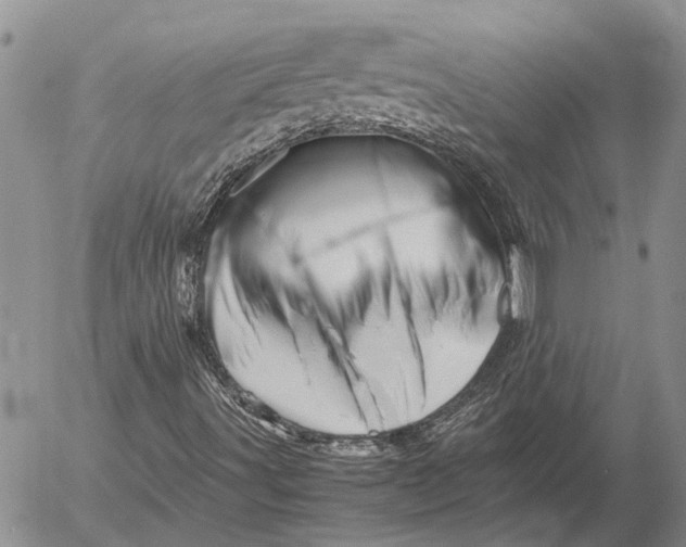 X0000052991491200507291603