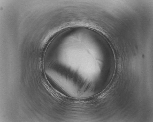 X0000052991499200507291603