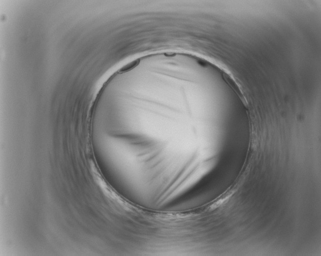 X0000052991534200507291604