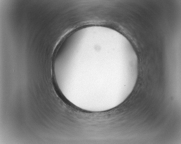 X0000052990011200508051120