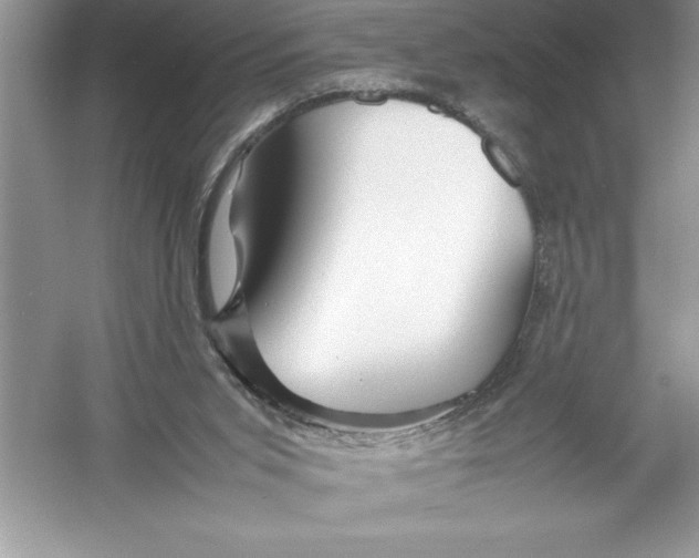 X0000052990015200508051120