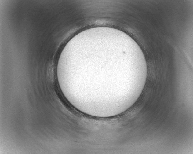 X0000052990016200508051120