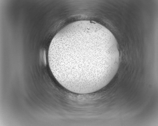 X0000052990022200508051120